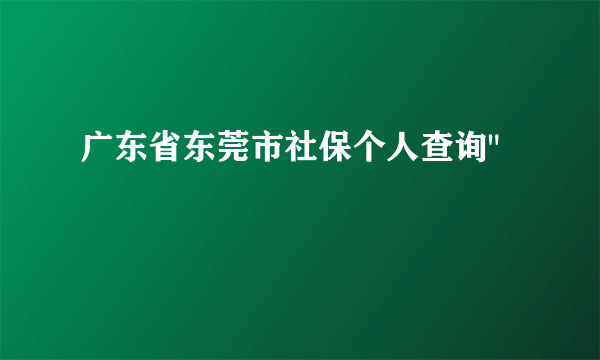 广东省东莞市社保个人查询