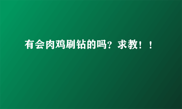 有会肉鸡刷钻的吗？求教！！