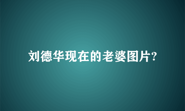 刘德华现在的老婆图片?