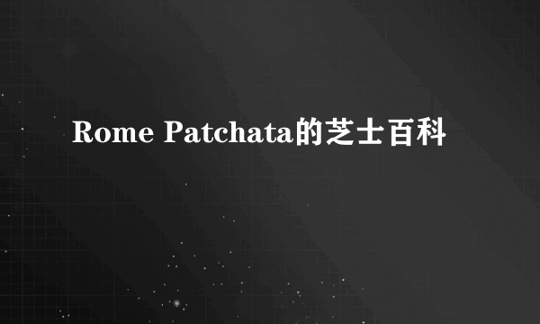 Rome Patchata的芝士百科