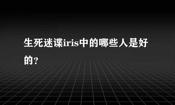 生死迷谍iris中的哪些人是好的？