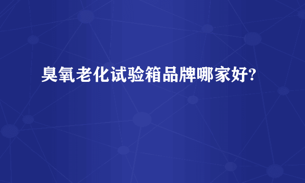 臭氧老化试验箱品牌哪家好?