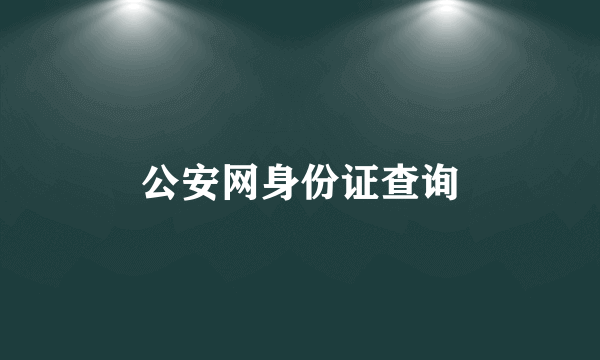 公安网身份证查询