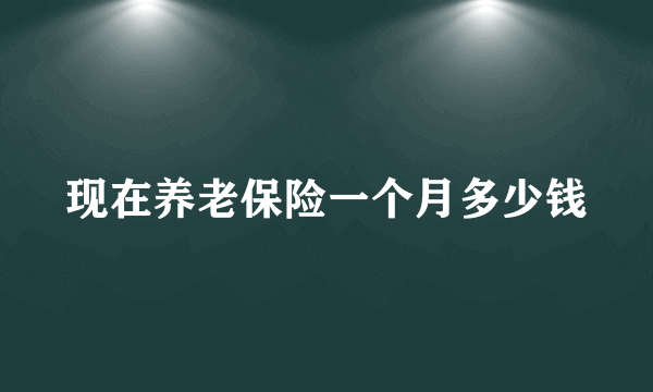 现在养老保险一个月多少钱