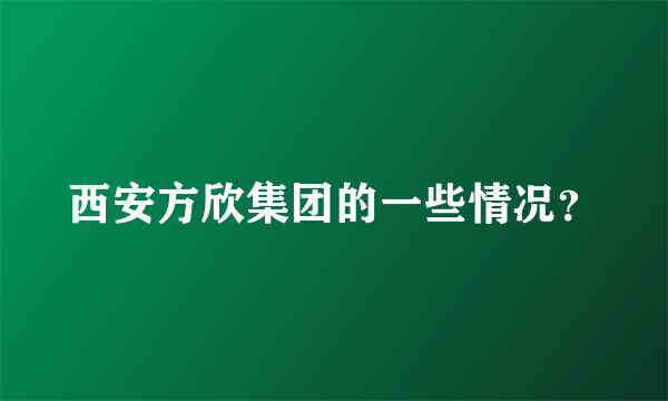 西安方欣集团的一些情况？