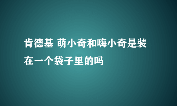 肯德基 萌小奇和嗨小奇是装在一个袋子里的吗