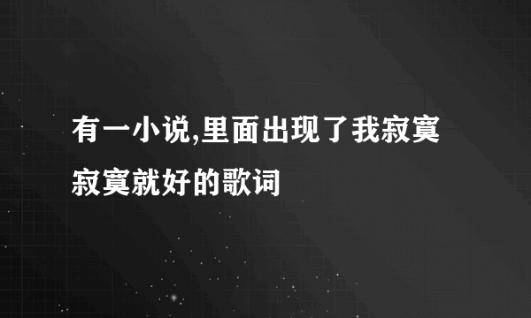 有一小说,里面出现了我寂寞寂寞就好的歌词