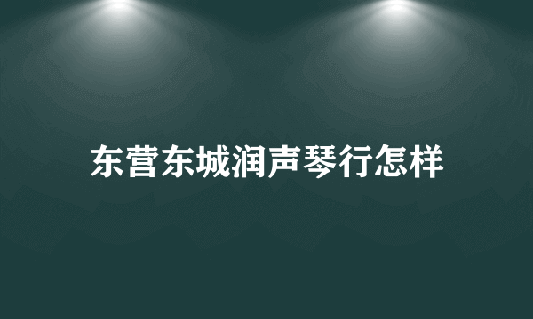 东营东城润声琴行怎样