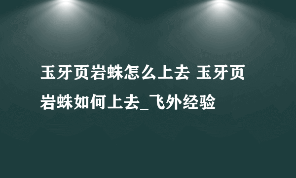 玉牙页岩蛛怎么上去 玉牙页岩蛛如何上去_飞外经验