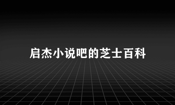 启杰小说吧的芝士百科