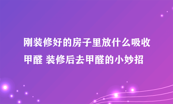 刚装修好的房子里放什么吸收甲醛 装修后去甲醛的小妙招