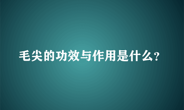 毛尖的功效与作用是什么？