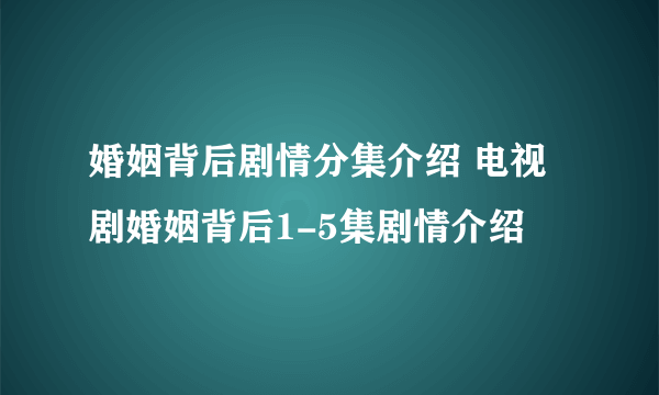 婚姻背后剧情分集介绍 电视剧婚姻背后1-5集剧情介绍