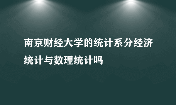 南京财经大学的统计系分经济统计与数理统计吗