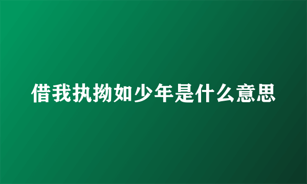 借我执拗如少年是什么意思