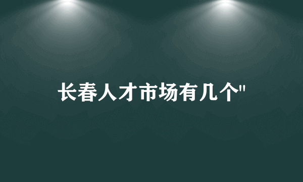 长春人才市场有几个