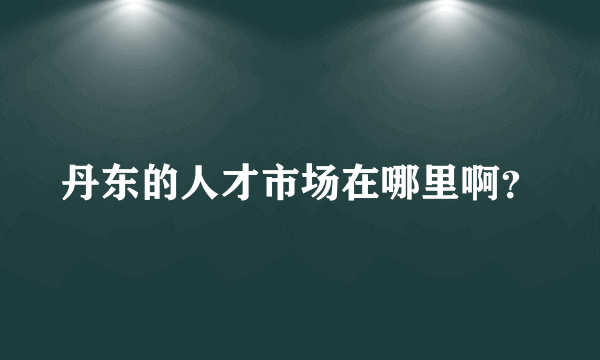 丹东的人才市场在哪里啊？