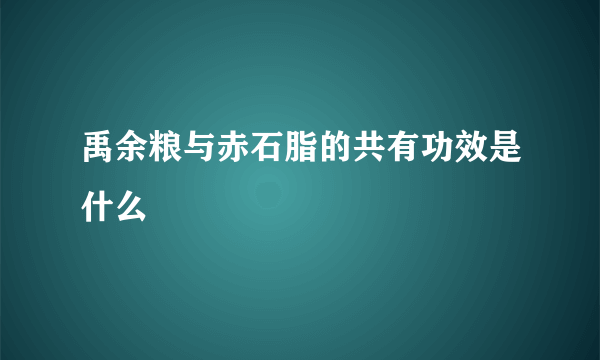 禹余粮与赤石脂的共有功效是什么