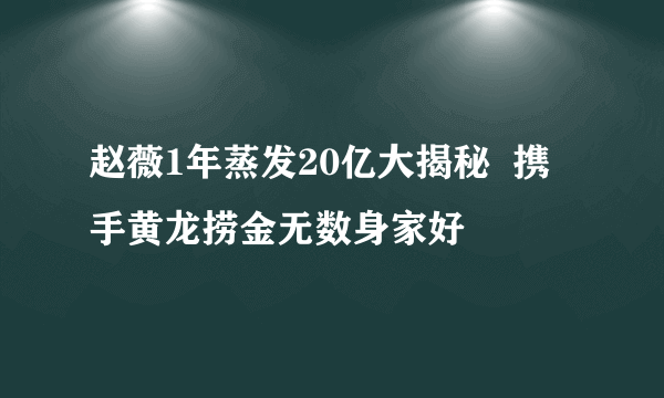 赵薇1年蒸发20亿大揭秘  携手黄龙捞金无数身家好