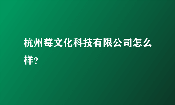 杭州莓文化科技有限公司怎么样？