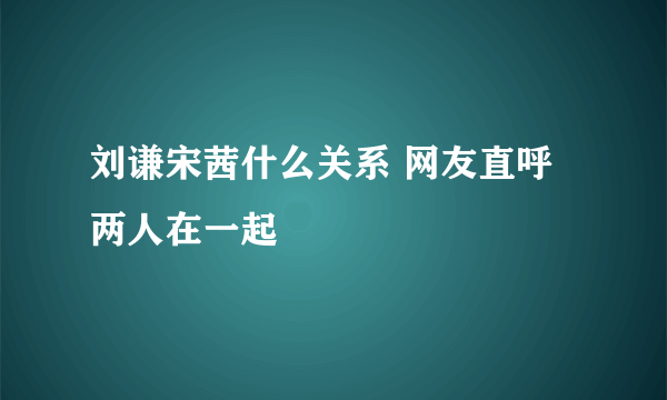 刘谦宋茜什么关系 网友直呼两人在一起