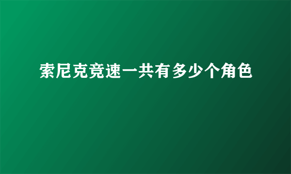 索尼克竞速一共有多少个角色