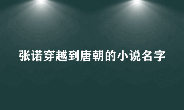 张诺穿越到唐朝的小说名字