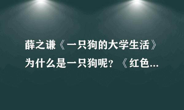 薛之谦《一只狗的大学生活》为什么是一只狗呢？《红色石头》歌词是“又多一只狗”是什么意思？