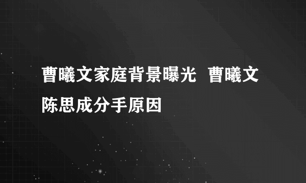 曹曦文家庭背景曝光  曹曦文陈思成分手原因