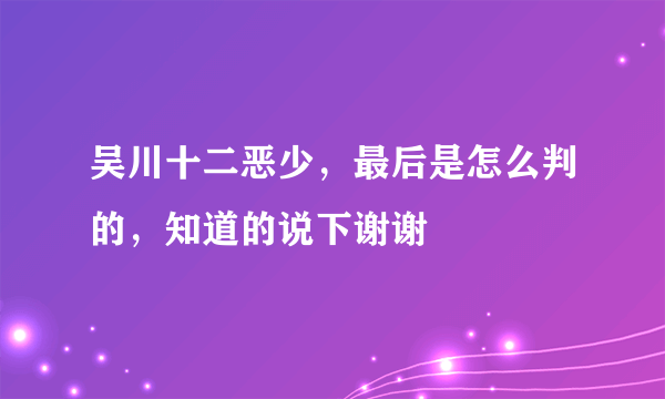 吴川十二恶少，最后是怎么判的，知道的说下谢谢