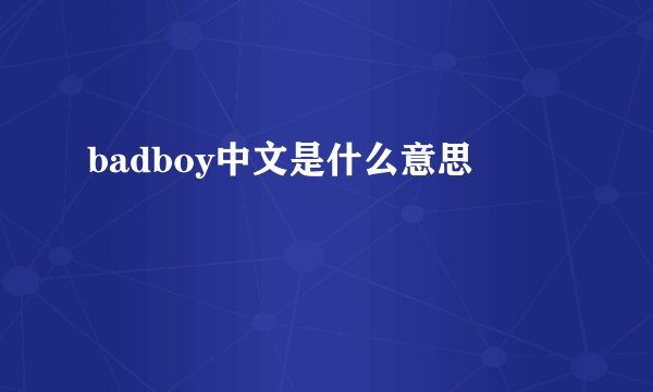 badboy中文是什么意思