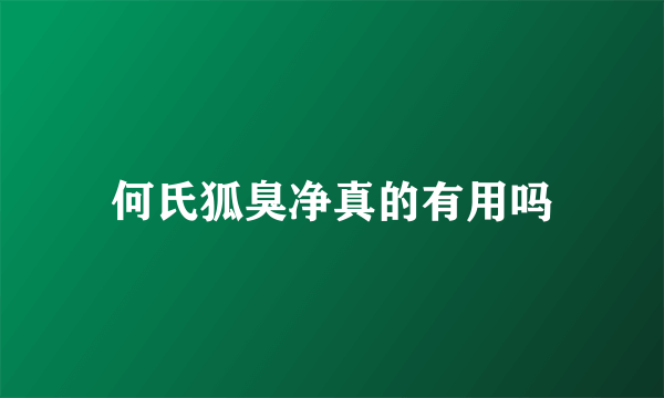 何氏狐臭净真的有用吗