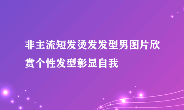 非主流短发烫发发型男图片欣赏个性发型彰显自我