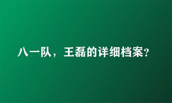 八一队，王磊的详细档案？