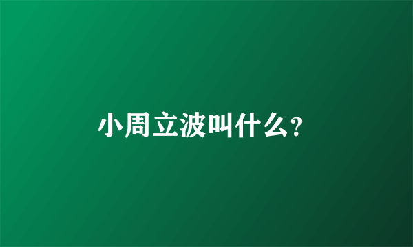 小周立波叫什么？