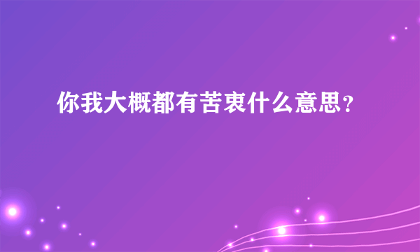 你我大概都有苦衷什么意思？