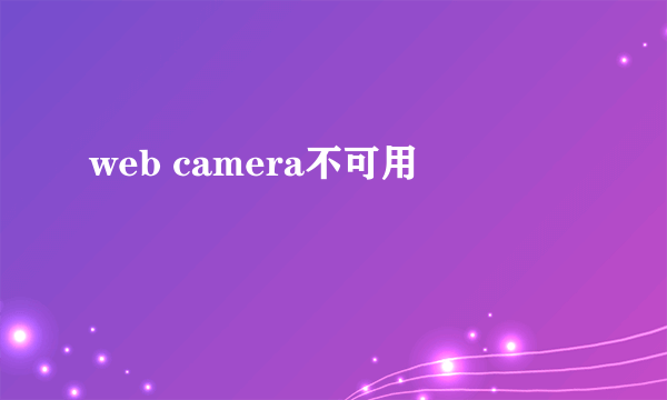 web camera不可用