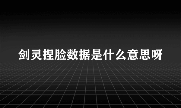 剑灵捏脸数据是什么意思呀