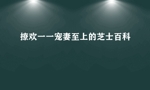 撩欢一一宠妻至上的芝士百科