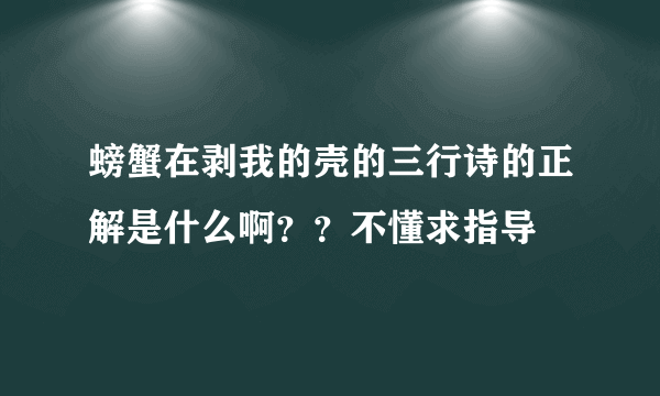 螃蟹在剥我的壳的三行诗的正解是什么啊？？不懂求指导