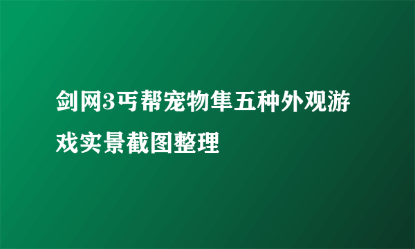 剑网3丐帮宠物隼五种外观游戏实景截图整理