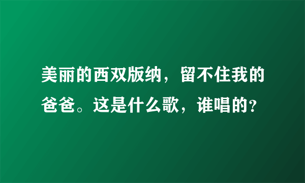 美丽的西双版纳，留不住我的爸爸。这是什么歌，谁唱的？