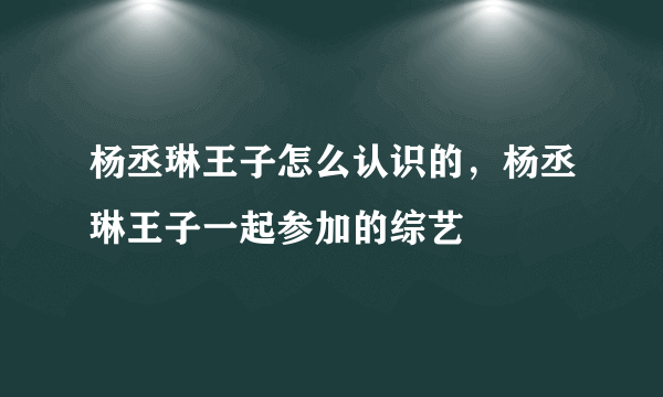 杨丞琳王子怎么认识的，杨丞琳王子一起参加的综艺