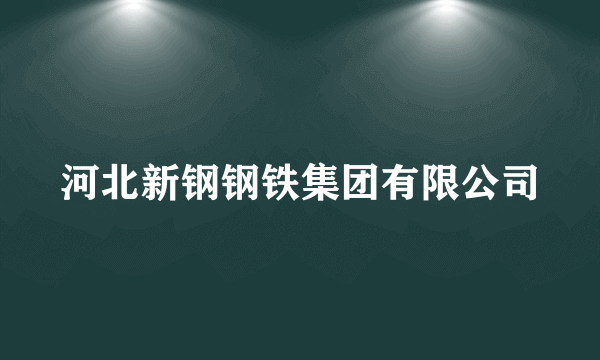 河北新钢钢铁集团有限公司