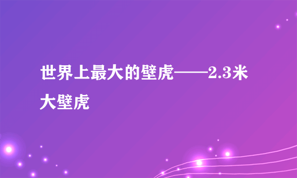 世界上最大的壁虎——2.3米大壁虎