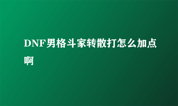 DNF男格斗家转散打怎么加点啊