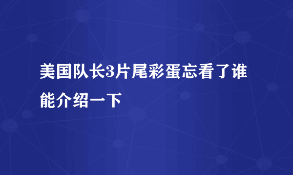 美国队长3片尾彩蛋忘看了谁能介绍一下