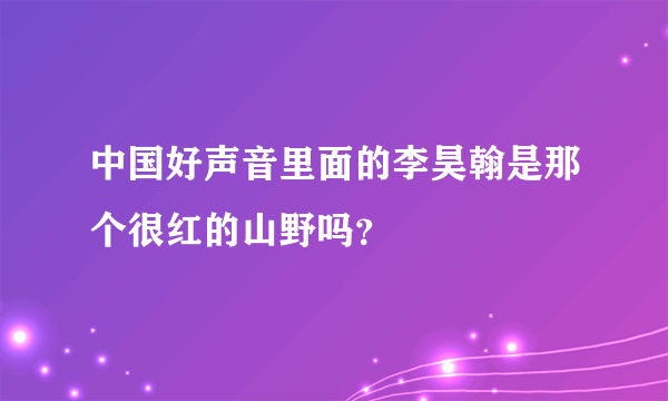 中国好声音里面的李昊翰是那个很红的山野吗？