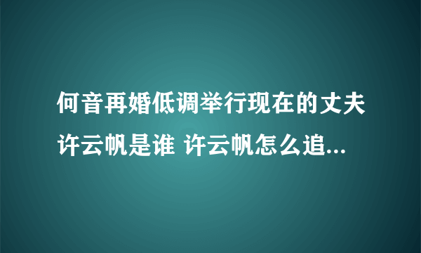 何音再婚低调举行现在的丈夫许云帆是谁 许云帆怎么追到何音的