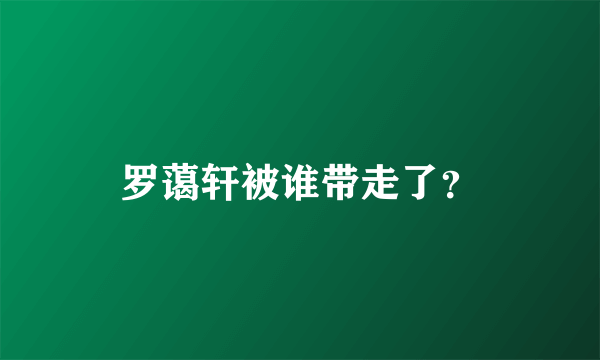 罗蔼轩被谁带走了？